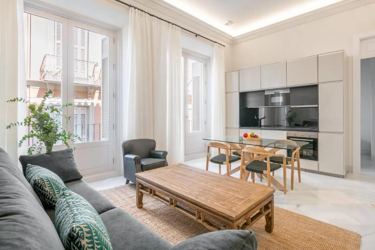 Pinar Vip Class Malaga C/Granada Apartment